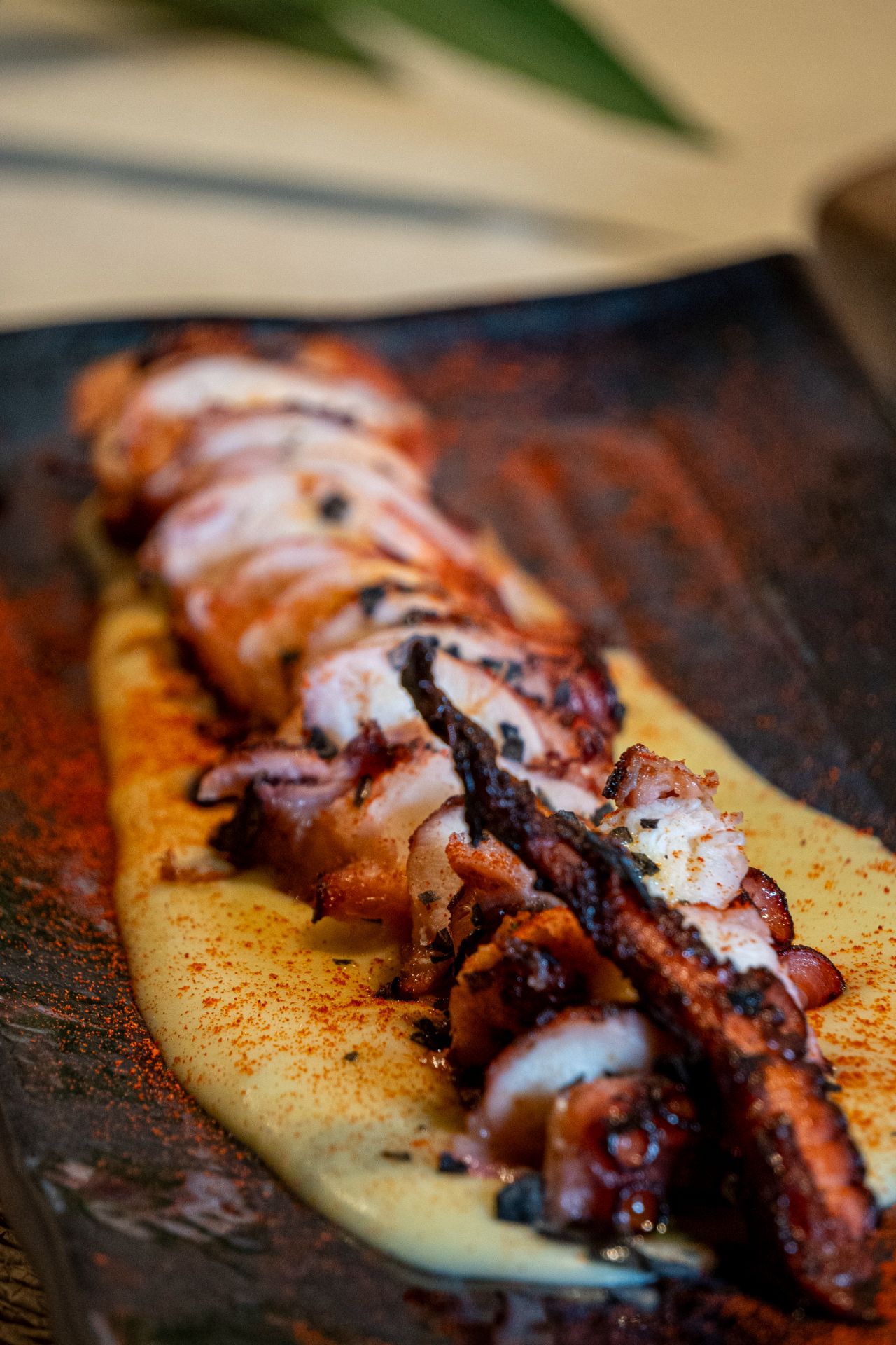 Pulpo